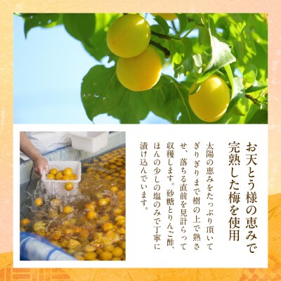 梅シロップ「梅しづく」 290ml×4袋(3倍から5倍希釈)壽屋提供 hi036-078