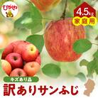 【令和7年産】※訳あり※ サンふじ満杯詰(約4.5kg) 東根市 hi027-204-2