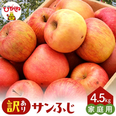 【2026年産】※訳あり※ サンふじ満杯詰(約4.5kg) 山形県 東根市 hi027-203-r8