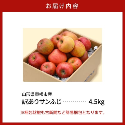 【2026年産】※訳あり※ サンふじ満杯詰(約4.5kg) 山形県 東根市 hi027-203-r8