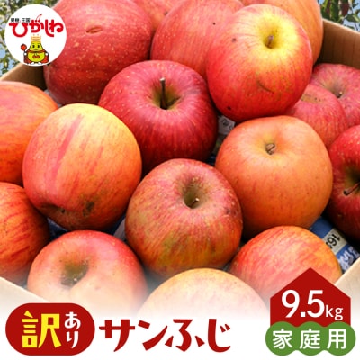 【2026年産】※訳あり※ サンふじ満杯詰(約9.5kg) 山形県 東根市 hi027-204-r8