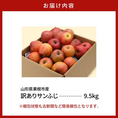 【2026年産】※訳あり※ サンふじ満杯詰(約9.5kg) 山形県 東根市 hi027-204-r8