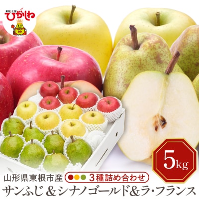 【2026年産】サンふじ&シナノゴールド&ラフランス 詰め合わせ 5kg hi027-213-r8