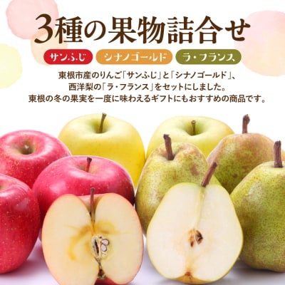 【2026年産】サンふじ&シナノゴールド&ラフランス 詰め合わせ 5kg hi027-213-r8