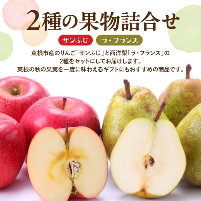 【2026年産】サンふじ&ラフランス 詰め合わせ 3kg 秀品 化粧箱入り hi027-210-r8