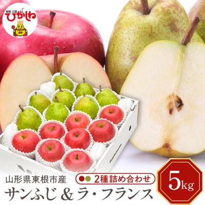 【2026年産】サンふじ&ラフランス 詰め合わせ 5kg 秀品 化粧箱入り hi027-211-r8