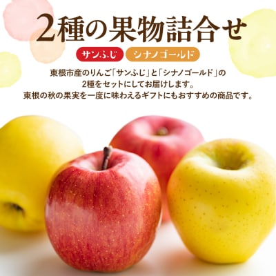 【2026年産】りんご サンふじ&シナノゴールド 詰め合わせ 3kg 秀品 hi027-208-r8