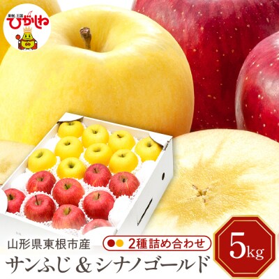 【令和7年産】りんごサンふじ&シナノゴールド 詰め合わせ 5kg秀品 hi027-208-2