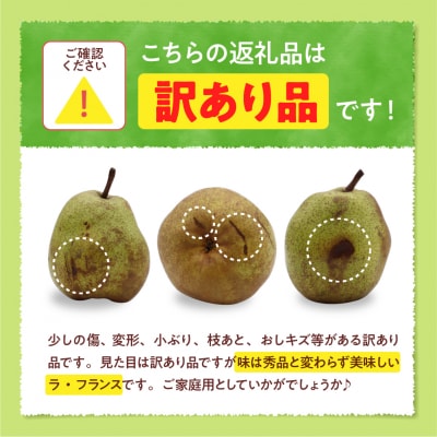 【2025年産】ラフランス訳あり2kg 松栗提供 山形県 東根市 hi004-hi062-043-2