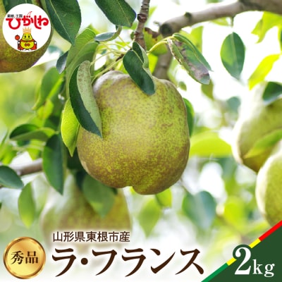 【2025年産】ラフランス秀品 2kg 松栗提供 山形県 東根市 hi004-hi062-042-2