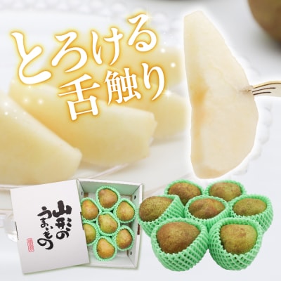 【2025年産】ラフランス秀品 2kg 松栗提供 山形県 東根市 hi004-hi062-042-2