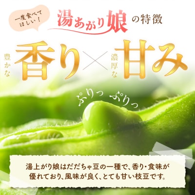 【2026年産】 枝豆「湯あがり娘」1.5kg よってけポポラ提供 hi003-162