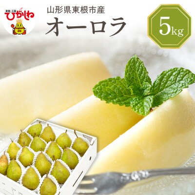 【2026年産】 西洋梨 オーロラ 5kg 秀品 化粧箱入り hi027-187-r8