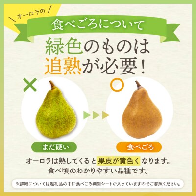 【2026年産】西洋梨 オーロラ 2kg 秀品 化粧箱入り hi027-186-r8