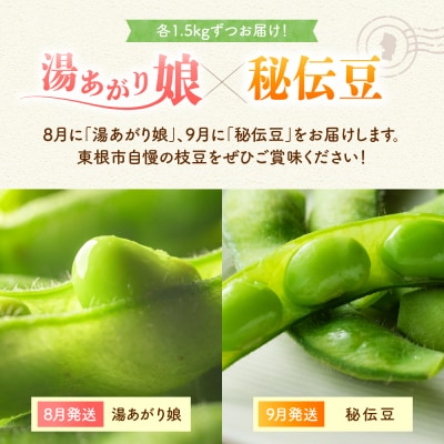 【2026年 全2回 枝豆定期便】 「湯あがり娘」と「秘伝豆」 各1.5kg hi003-164