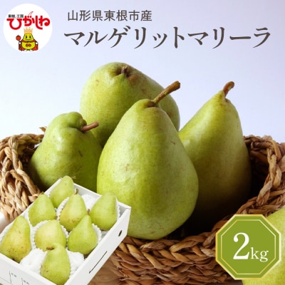 【2026年産】 西洋梨 マルゲリットマリーラ 2kg 秀品 化粧箱入り hi027-188-r8