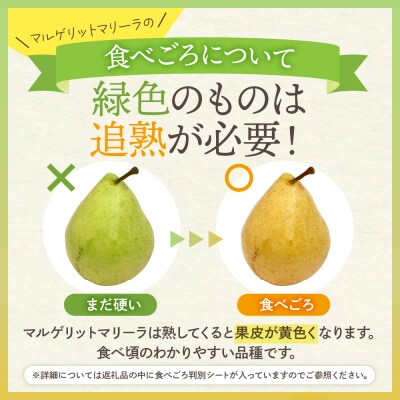 【2026年産】 西洋梨 マルゲリットマリーラ 2kg 秀品 化粧箱入り hi027-188-r8