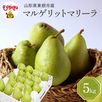 【2026年産】 西洋梨 マルゲリットマリーラ 5kg 秀品 化粧箱入り hi027-189-r8