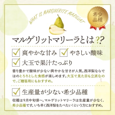 【2026年産】 西洋梨 マルゲリットマリーラ 5kg 秀品 化粧箱入り hi027-189-r8