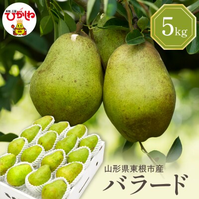 【2026年産】 西洋梨 バラード 5kg 秀品 化粧箱入り hi027-191-r8