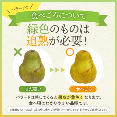 【2026年産】 西洋梨 バラード 5kg 秀品 化粧箱入り hi027-191-r8