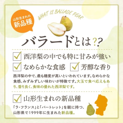 【2026年産】西洋梨 バラード 2kg 秀品 化粧箱入り hi027-190-r8
