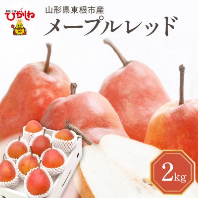 【令和7年産 先行受付】メープルレッド2kg 山形県 東根農産センター提供　hi027-193-2