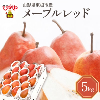 【令和7年産 先行受付】メープルレッド5kg 山形県 東根農産センター提供　hi027-192-2