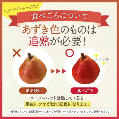【令和7年産 先行受付】メープルレッド5kg 山形県 東根農産センター提供　hi027-192-2