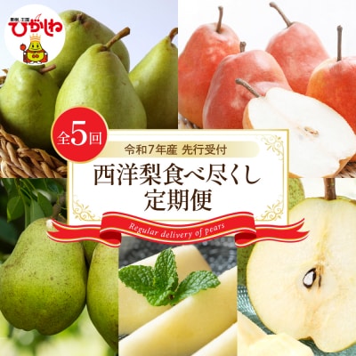 【令和7年産 先行受付】食べ尽くし定期便 東根農産センター提供　hi027-201-2