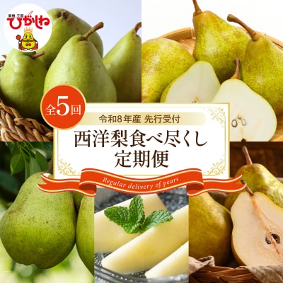 【2026年産 5回定期便】西洋梨食べ尽くし定期便 東根農産センター提供 hi027-201-r8