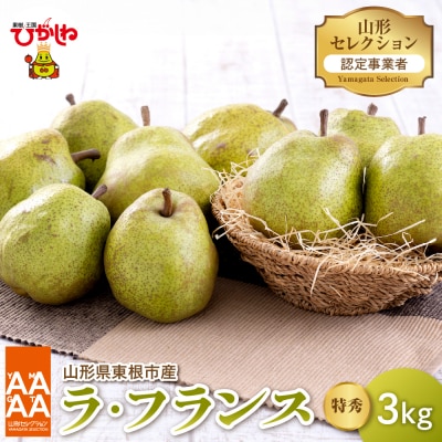【令和7年産 先行受付】山形セレクション　ラ・フランス 3kg hi069-009-2