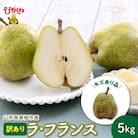 【令和7年産 先行受付】山形 ラ・フランス 家庭用(訳あり)5kg hi069-012-2