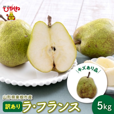 【令和7年産 先行受付】山形 ラ・フランス 家庭用(訳あり)5kg hi069-012-2