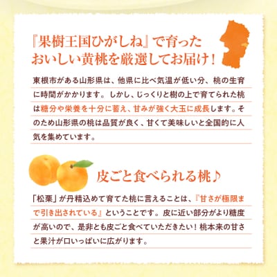 【2026年産】黄桃 品種おまかせ 秀品2kg(やわらかめ) 松栗提供 hi062-062