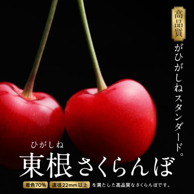 先行受付　東根さくらんぼ　ダブルコースpart2(佐藤錦500g、紅秀峰800g)hi001-045