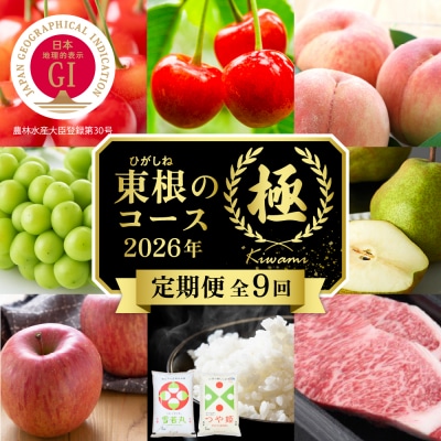【2026年先行受付 9回 定期便】山形県 東根市産【「極」コース 】hi999-038
