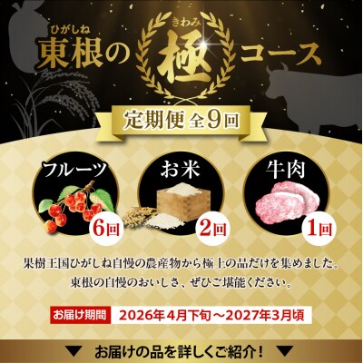 【2026年先行受付 9回 定期便】山形県 東根市産【「極」コース 】hi999-038