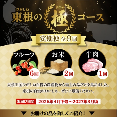 【2026年先行受付 9回 定期便】山形県 東根市産【「極」コース 】hi999-038