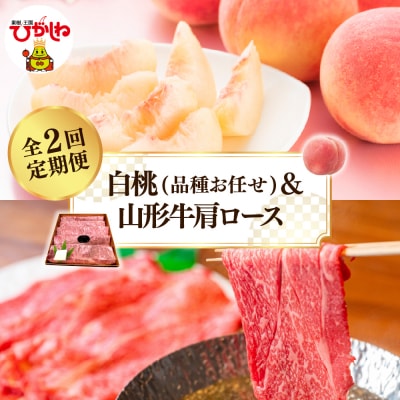 【2025年 先行受付】 白桃(品種お任せ)&山形牛肩ロース 全2回定期便