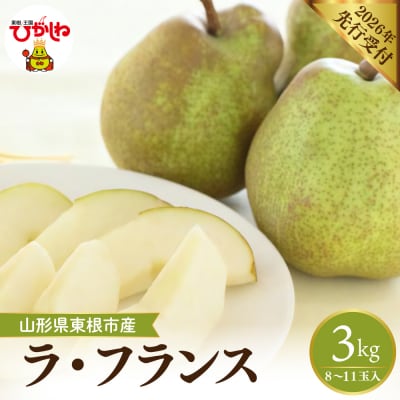 【2026年産】フルーツの女王「ラ・フランス」 約3kg(8～11玉) 東根市　hi026-059