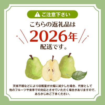 【2026年産】フルーツの女王「ラ・フランス」 約3kg(8～11玉) 東根市　hi026-059