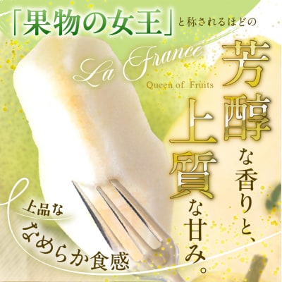【2026年産】フルーツの女王「ラ・フランス」 約3kg(8～11玉) 東根市　hi026-059
