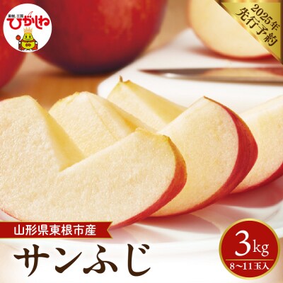 【2025年 先行受付】りんご　サンふじ 約3kg (8～11玉入) 山形県 東根市