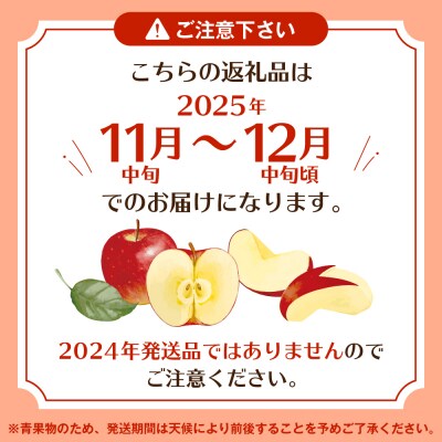 【2025年 先行受付】りんご　サンふじ 約3kg (8～11玉入) 山形県 東根市