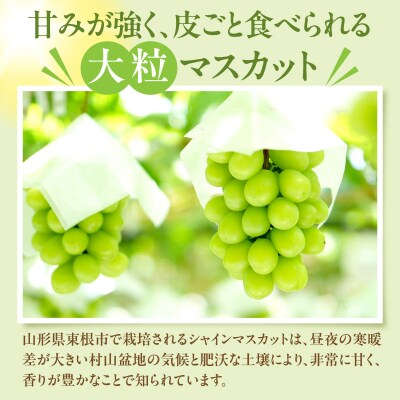 【2026年産】 シャインマスカット 約1.2kg (2房入) 山形県 東根市 hi026-054