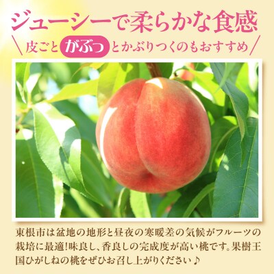 【2026年産】 採れたて白桃(品種お任せ) 約3kg (7～12玉) 東根市　hi026-055