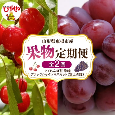 【2026年 全2回定期便】さくらんぼ紅秀峰、ブラックシャインマスカット富士の輝 hi074-018