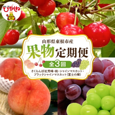 【2026年 全3回 定期便】GI東根さくらんぼ、白桃、大粒ぶどう詰め合わせ hi074-019