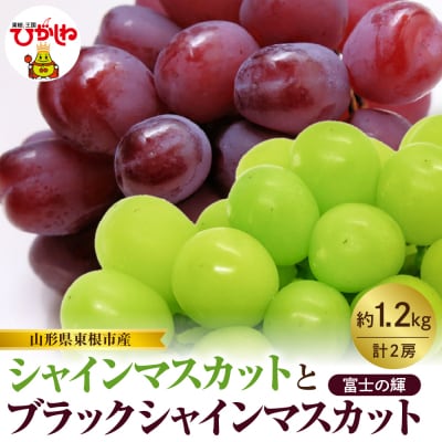 【2026年産】シャインマスカットと「富士の輝」の詰め合わせ約1.2kg hi074-017
